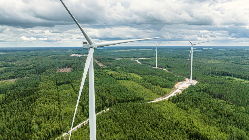 A windfarm in a forest